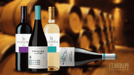 红酒世界网精彩亮相中国（广州）国际海外置业及移民展