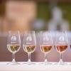逸香葡萄酒培训企业为何能在逆市情况下保持增长？