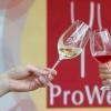 ProWein 2020取消举办，对酒商影响不大