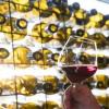 澳大利亚葡萄酒出口计划增长两倍以上
