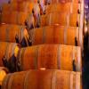 意大利酒庄还储存着4810万百升葡萄酒