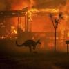 澳洲大火导致60余家酒庄受灾，澳洲葡萄酒将会涨价