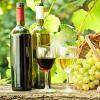 葡萄酒从什么时候起源的呢?