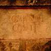 酒庄消息：罗曼尼·康帝酒庄 Domaine de la Romanee-Conti