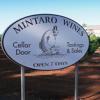 酒庄资料：米塔罗酒庄 Mintaro Wines