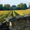 酒庄信息：拉芳酒庄 Domaine des Comtes Lafon