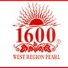 酒庄资料：西域明珠酒业 West Region Pearl Winery