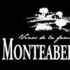 酒庄介绍：蒙特拜伦酒庄 Monteabellon