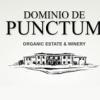 酒庄资料：庞腾堡酒庄 Dominio de Punctum