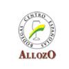酒庄简介：阿亚所中西酒庄 Allozo – Centro Espanolas