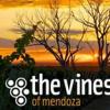酒庄消息：门多萨维纳斯酒庄 The Vines Of Mendoza