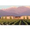 酒庄资料：库维利酒庄 Cuvelier Los Andes