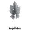 酒庄消息：肯歌利亚路酒庄 Kangarilla Road