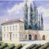 酒庄介绍：罗德宝树庄园 Chateau Roc de Boisseaux