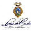 酒庄资料：林凯酒庄 Leone de Castris
