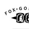 酒庄简介：福克斯戈登酒庄 Fox Gordon