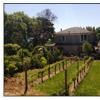 酒庄信息：奥索梅酒庄 Au Sommet Winery