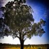 酒庄消息：特纳酒庄 Turners Crossing Vineyard