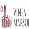 酒庄介绍：维尼马颂酒庄 Vinea Marson