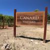 酒庄介绍：卡纳德酒庄 Canard Vineyard