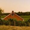 酒庄介绍：索诺玛-卡特雷酒庄 Sonoma-Cutrer Vineyards