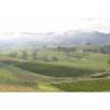 酒庄信息：格兰布鲁克酒庄 Glendonbrook Wines