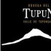 酒庄资料：杜普姆酒庄 Bodega del Tupun
