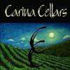 酒庄简介：龙骨星酒庄 Carina Cellars