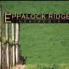 酒庄资料：埃帕洛克山酒庄 Eppalock Ridge
