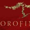 酒庄信息：奥罗菲诺酒庄 Orofino Vineyards