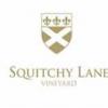 酒庄简介：思科齐兰酒庄 Squitchy Lane Vineyard