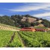 酒庄资料：霍尔特牧场酒庄 Halter Ranch Vineyard