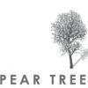 酒庄简介：梨树酒庄 Pear Tree Wines