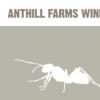 酒庄消息：安缇园酒庄 Anthill Farms Winery