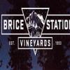 酒庄信息：布莱斯站酒庄 Brice Station