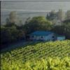 酒庄介绍：斯布拉吉酒庄 Sbragia Family Vineyards