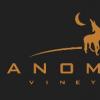 酒庄简介：异形酒庄 Anomaly Vineyards