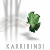 酒庄信息：卡瑞班迪酒庄 KarriBindi Wines