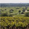 酒庄简介：露诺-帕平酒庄 Domaine Pierre Luneau-Papin