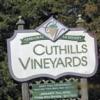 酒庄信息：卡西尔酒庄 Cuthills Vineyards