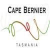 酒庄资料：海角贝尼尔酒庄 Cape Bernier