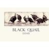 酒庄消息：黑之鹌鹑酒庄 Black Quail Estate