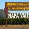 纳帕谷三大葡萄品种概览