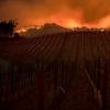 科技界巨头为加州大火赈灾捐助250万美元