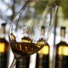 阿尔萨斯与马德拉：品种分阶级的葡萄酒社会
