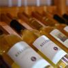 纳帕谷地震后葡萄酒会涨价吗？