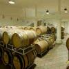 车库酒——葡萄酒界的“高级定制”