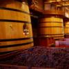 红酒世界直播预告：教皇新堡名庄博卡斯特尔酒庄