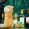“高校葡萄酒品鉴与礼仪公开课”走进北京航空航天大学