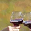 2015全球葡萄酒行业前景和亮点